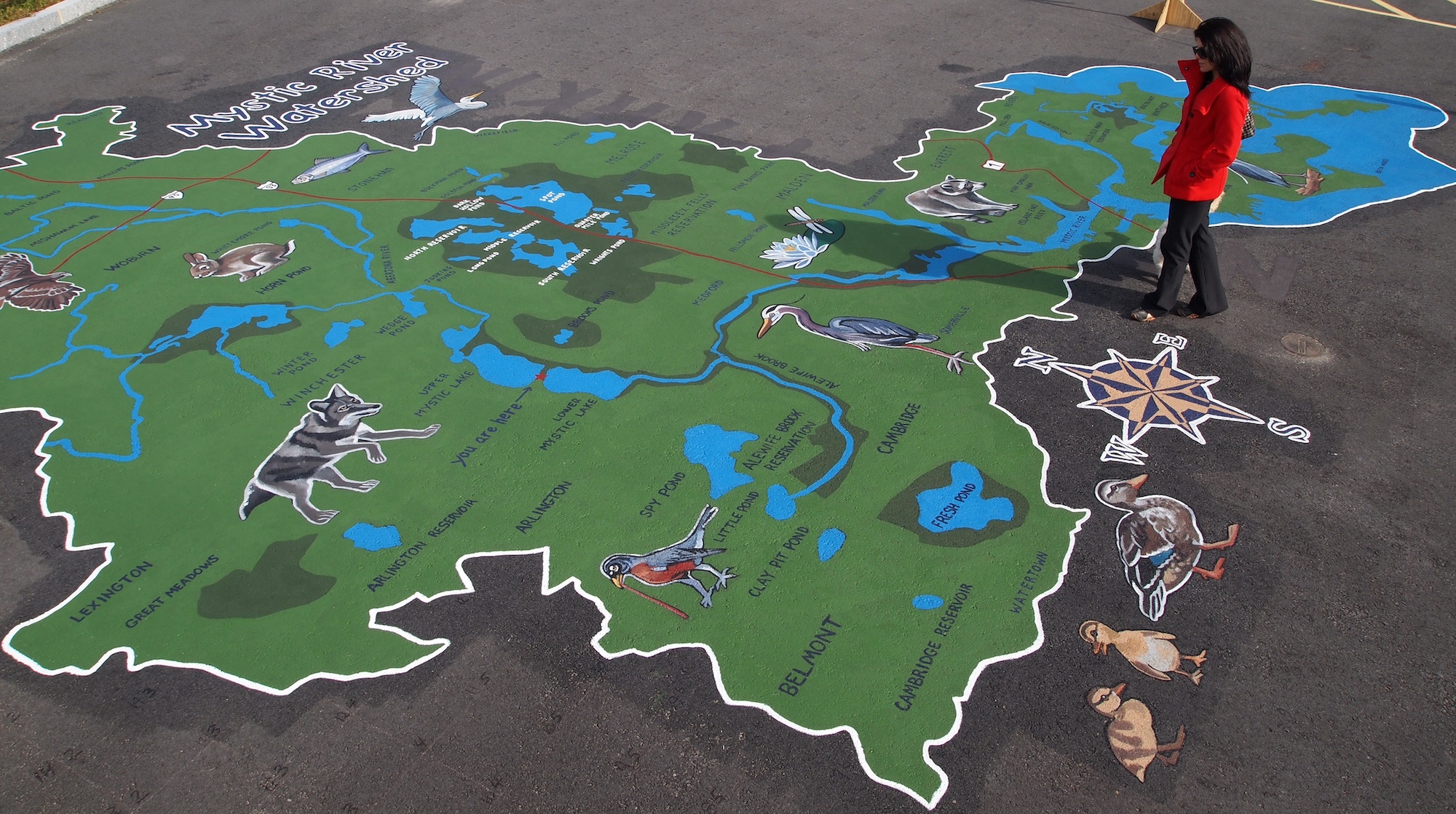 Revestimiento de pavimento coloreado «Color Pave» en un aparcamiento de asfalto